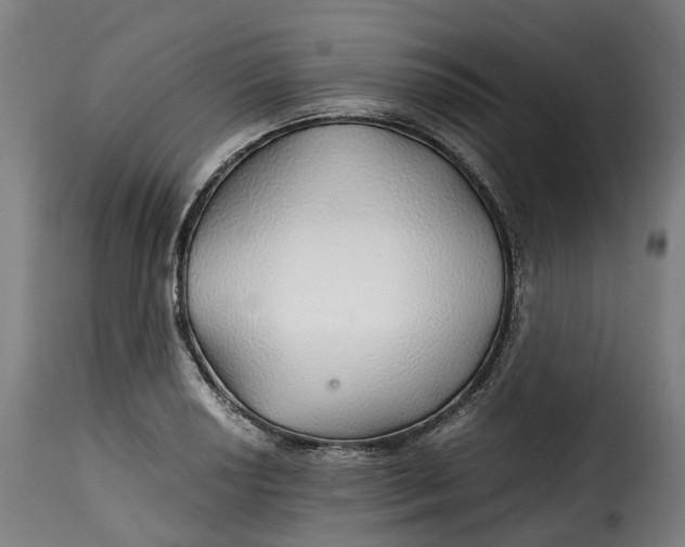 X0000115271034200911201724