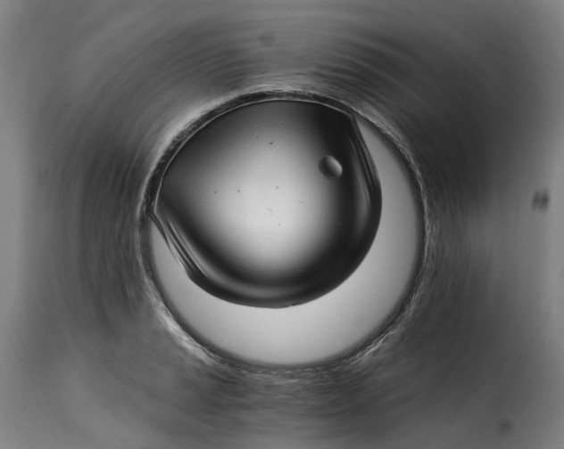 X0000115271037200911201724