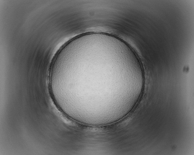 X0000115271040200911201724
