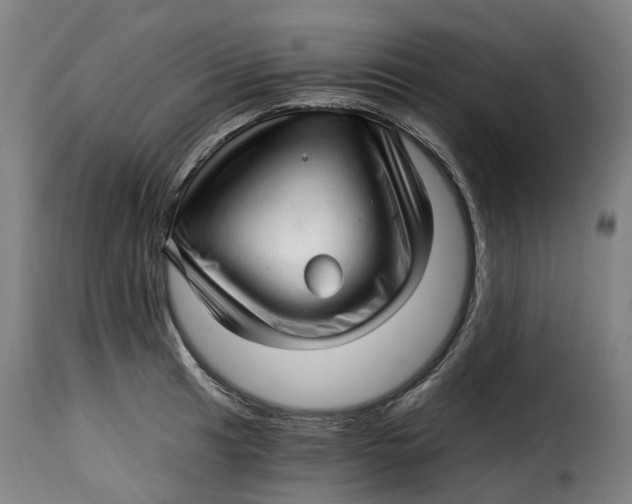 X0000115271041200911201724