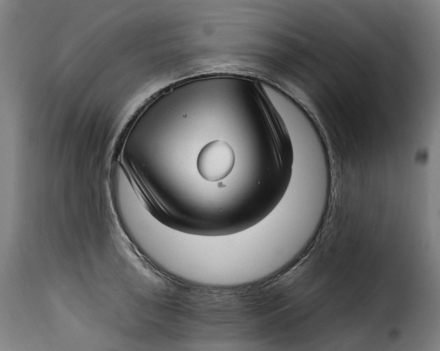 X0000115271043200911201724