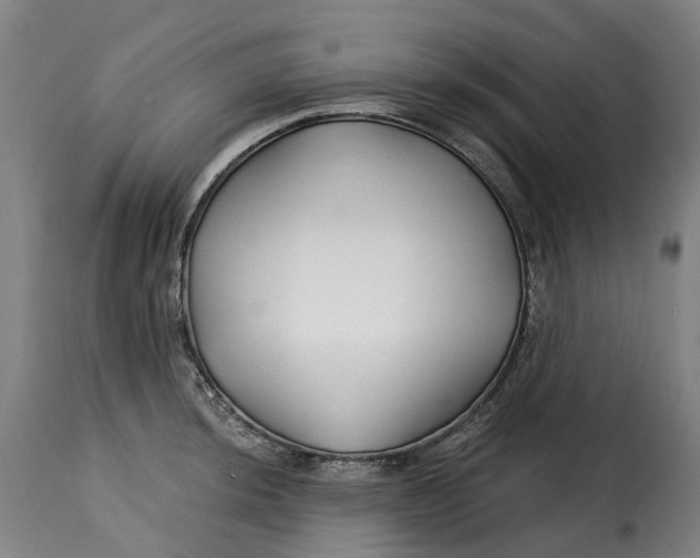 X0000115271044200911201724
