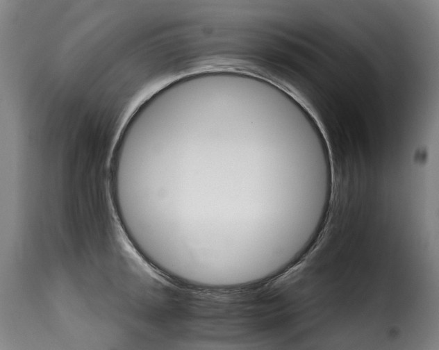 X0000115271045200911201724