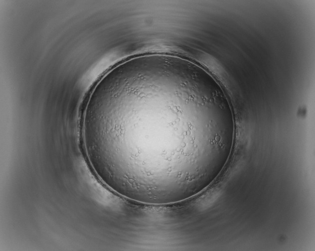 X0000115271046200911201724