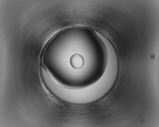 X0000115271047200911201724