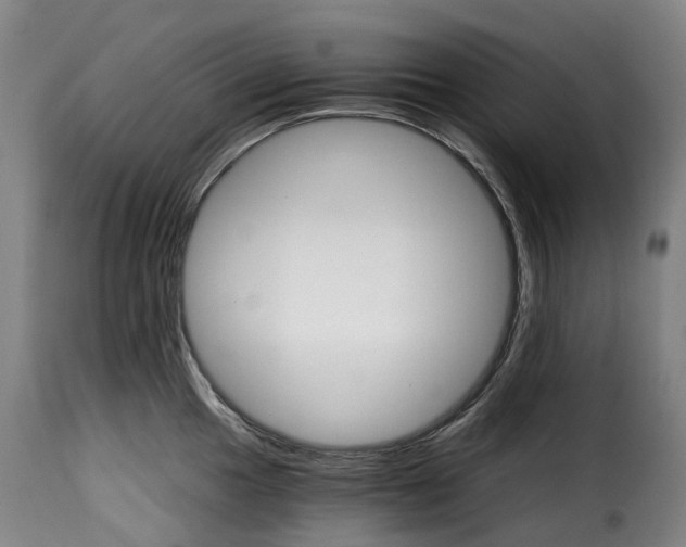 X0000115271049200911201724