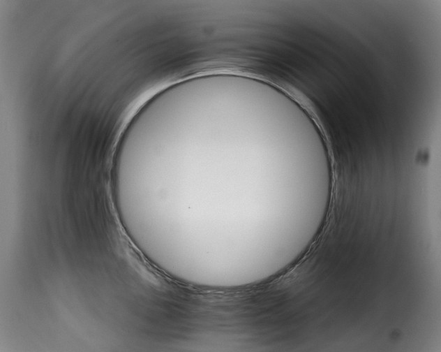 X0000115271051200911201724