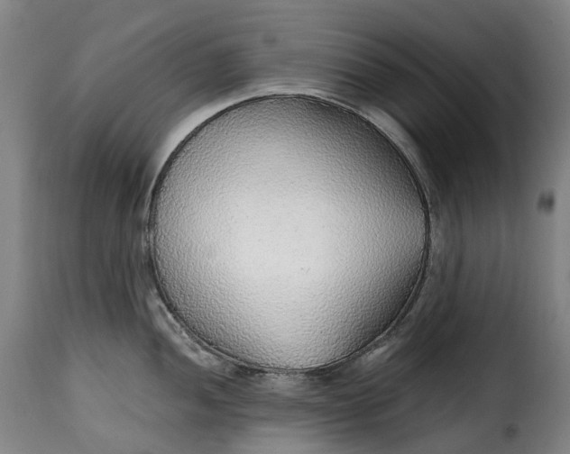 X0000115271052200911201724