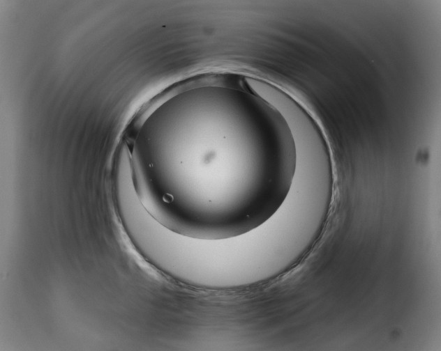 X0000115271053200911201724