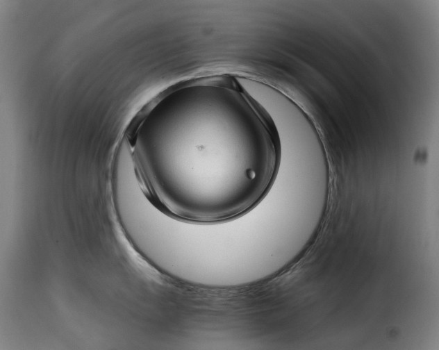 X0000115271055200911201724