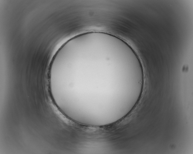 X0000115271056200911201724