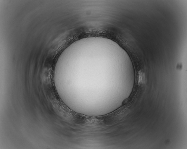X0000115271059200911201723