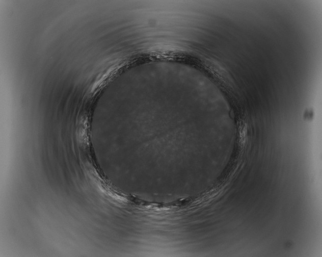 X0000115271060200911201723