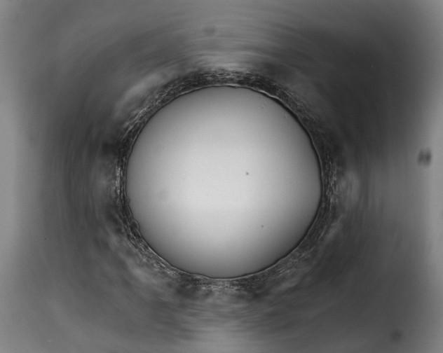 X0000115271061200911201723