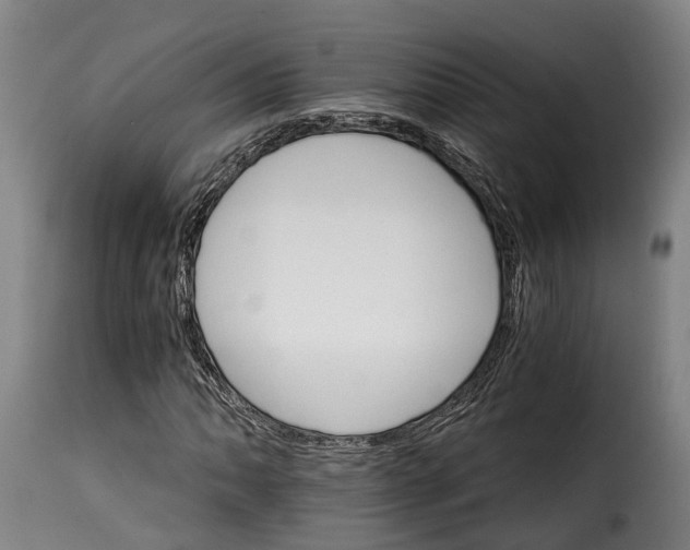 X0000115271062200911201723