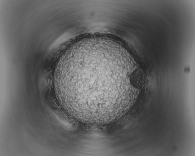 X0000115271063200911201723