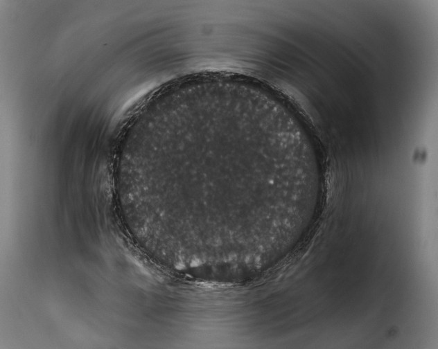 X0000115271064200911201723