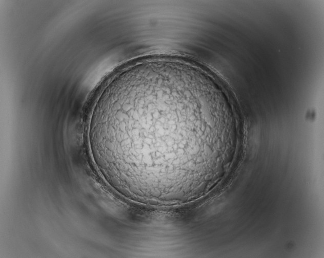 X0000115271067200911201723