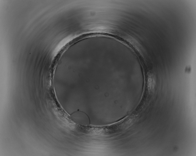 X0000115271069200911201723