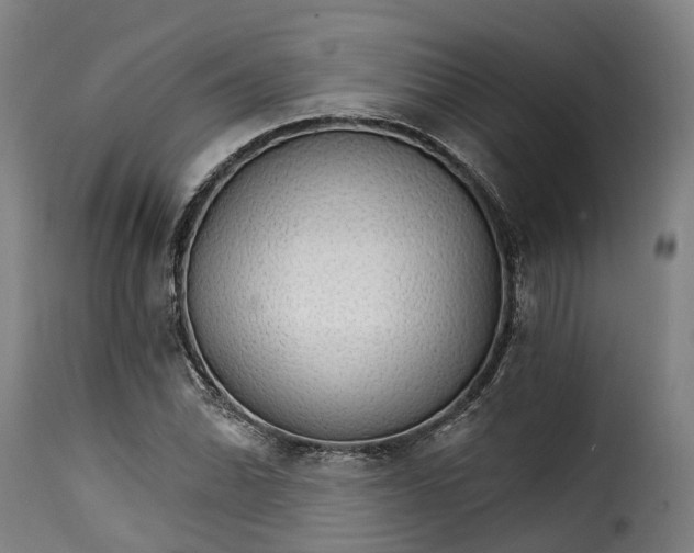 X0000115271070200911201723