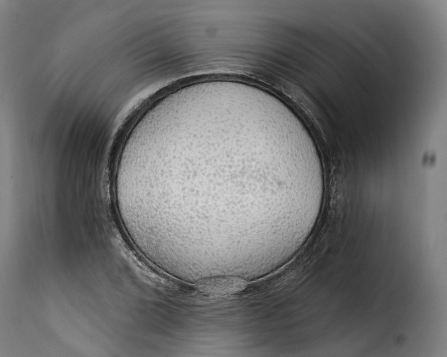 X0000115271072200911201723
