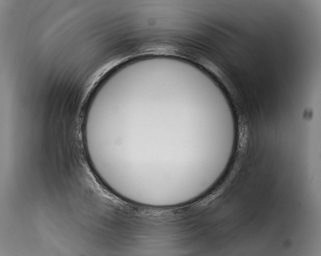 X0000115271074200911201723