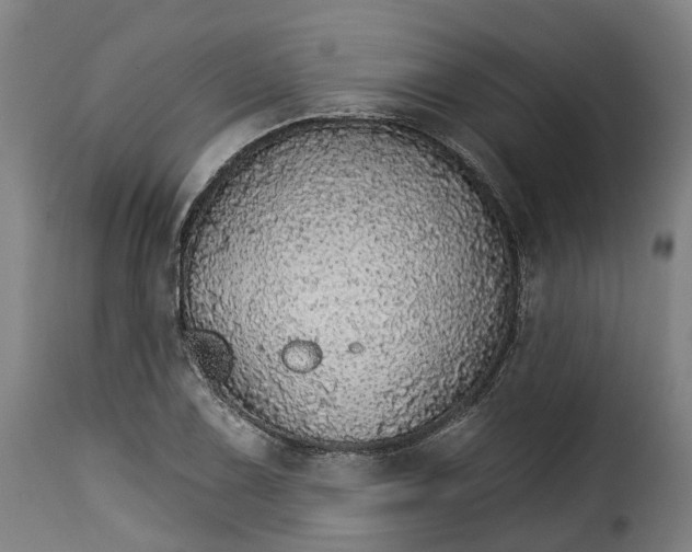 X0000115271075200911201723