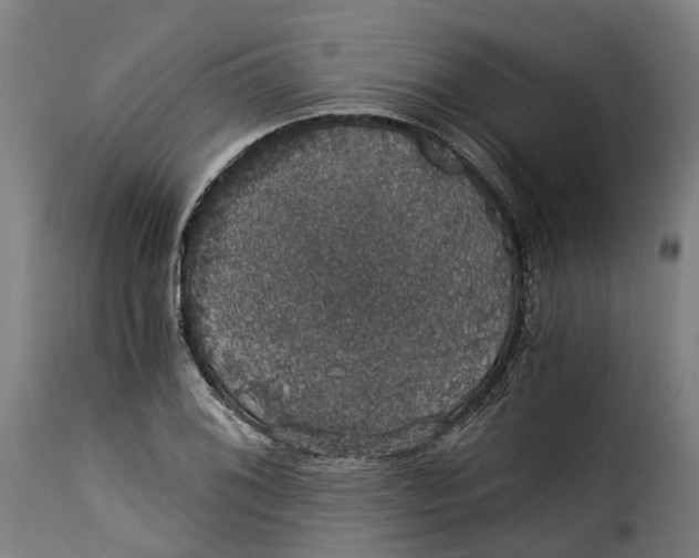 X0000115271076200911201723