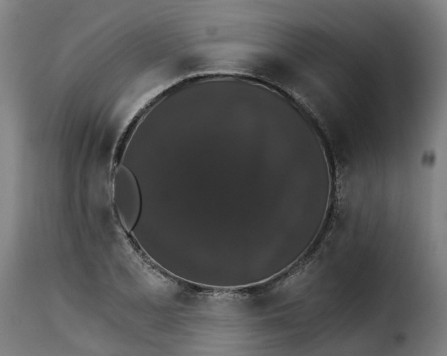 X0000115271077200911201723