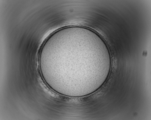 X0000115271078200911201723