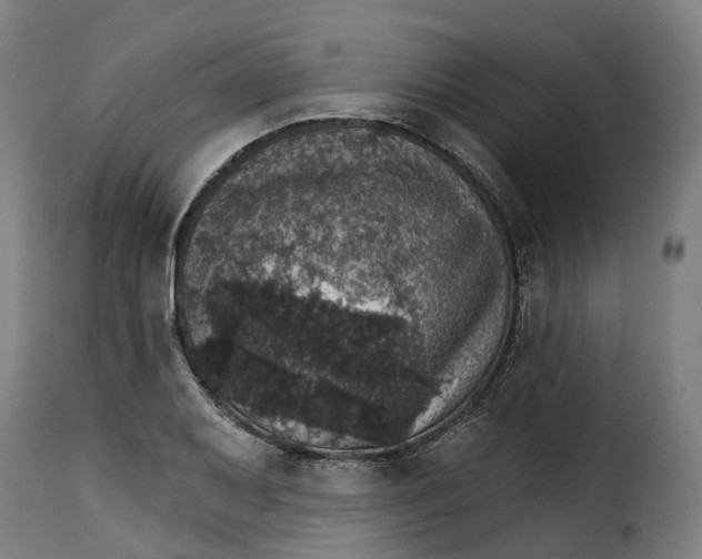 X0000115271079200911201723