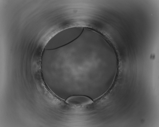 X0000115271081200911201723