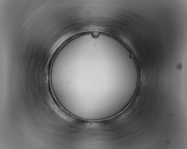 X0000115271082200911201723