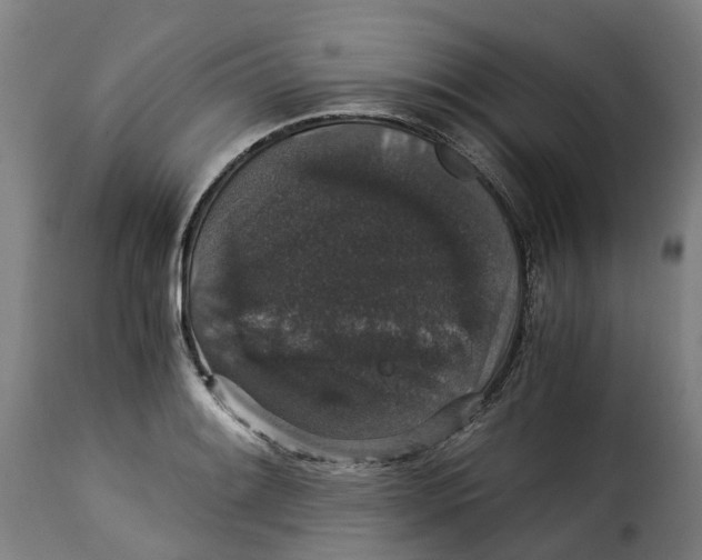 X0000115271084200911201723