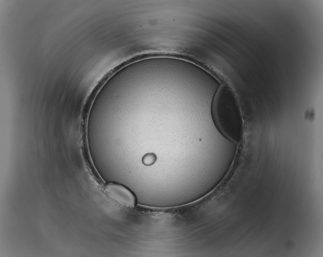 X0000115271085200911201723