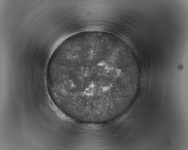 X0000115271086200911201723