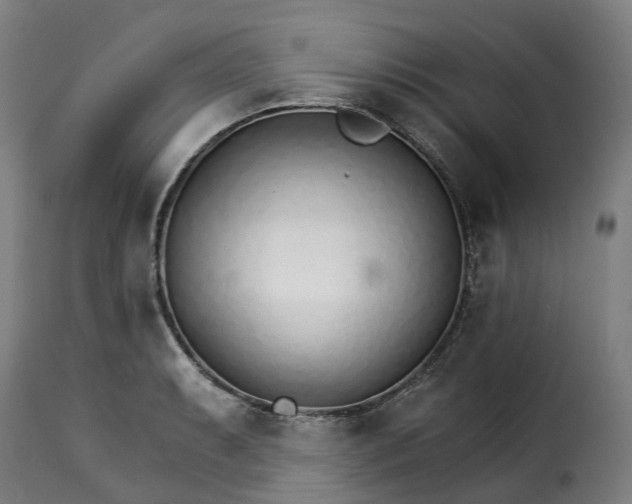 X0000115271087200911201723