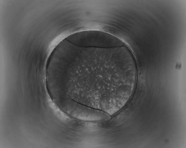 X0000115271088200911201723