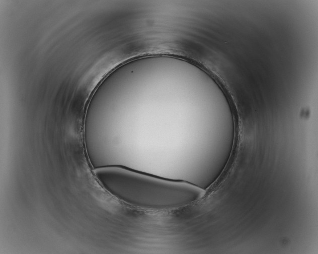 X0000115271089200911201723