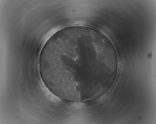 X0000115271090200911201723