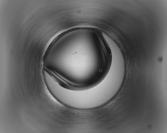 X0000115271092200911201723