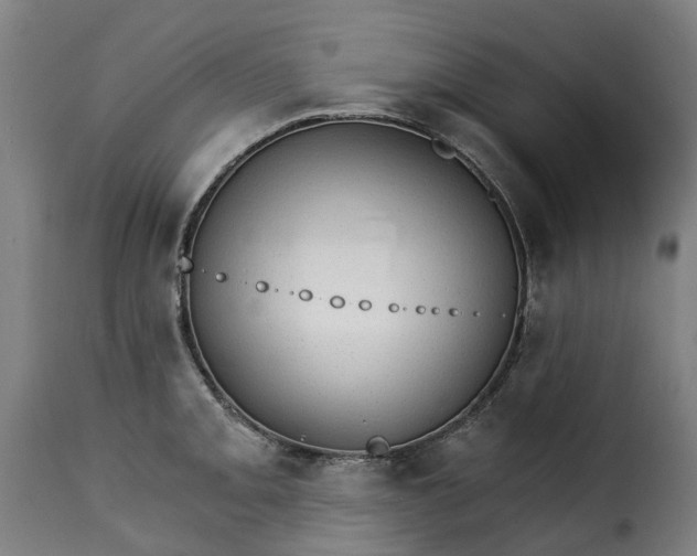 X0000115271093200911201723