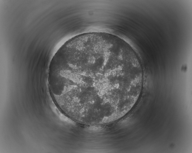 X0000115271094200911201723