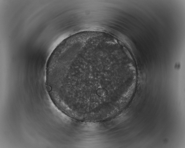X0000115271095200911201723