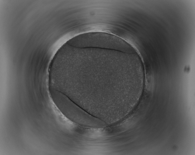 X0000115271096200911201723