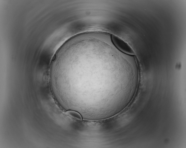 X0000115271097200911201723