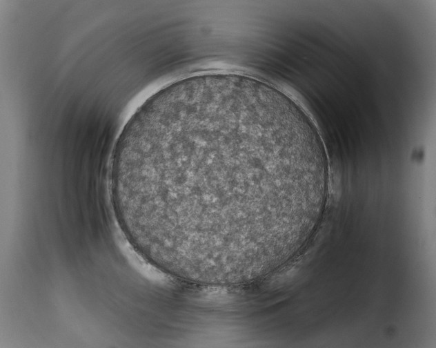 X0000115271098200911201723