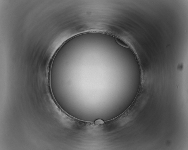 X0000115271099200911201723