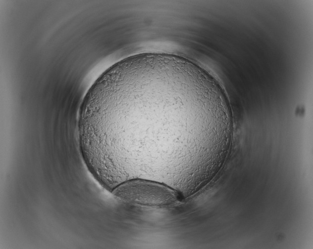 X0000115271103200911201723