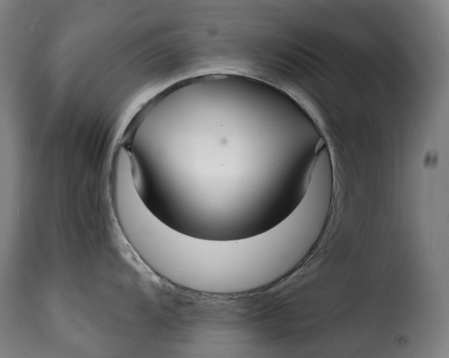 X0000115271104200911201723